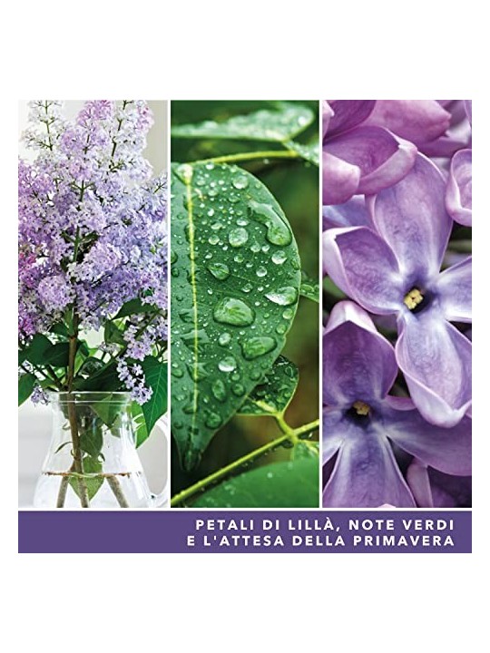 Yankee Candle Candela Signature Fiori di Lill Unisex 567 0g Yankee Candle www.essenzetotalstyle.com 