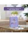 Yankee Candle Candela Signature Fiori di Lill Unisex 567 0g Yankee Candle www.essenzetotalstyle.com 