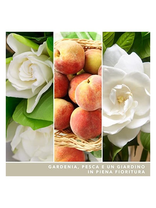 Yankee Candle Candela Profumata Signature Gardenia Bianca unisex 567g