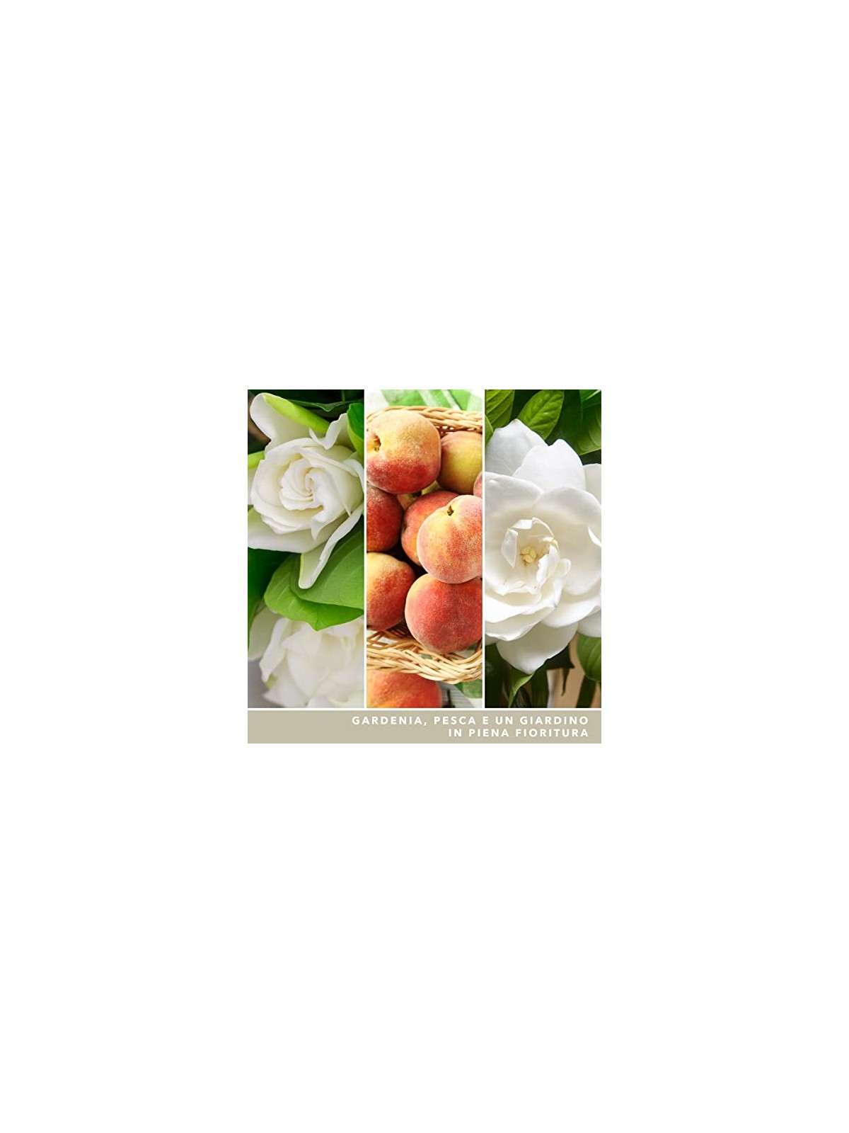Yankee Candle Candela Profumata Signature Gardenia Bianca unisex 567g