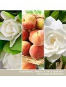 Yankee Candle Candela Profumata Signature Gardenia Bianca unisex 567g