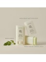 Beauty Of Joseon Matte Sun Stick Mugwort  Camelia 18g