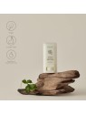 Beauty Of Joseon Matte Sun Stick Mugwort  Camelia 18g