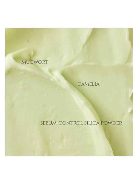 Beauty Of Joseon Matte Sun Stick Mugwort  Camelia 18g