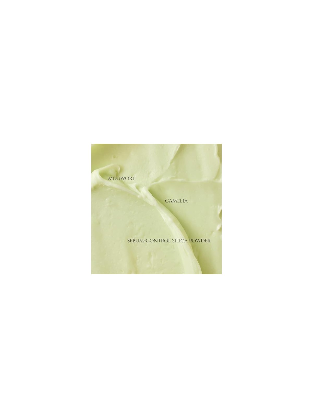 Beauty Of Joseon Matte Sun Stick Mugwort  Camelia 18g