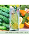 Yankee Candle Cetriolo Menta Fresca