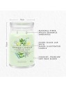 Yankee Candle Cetriolo Menta Fresca