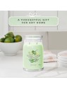 Yankee Candle Cetriolo Menta Fresca