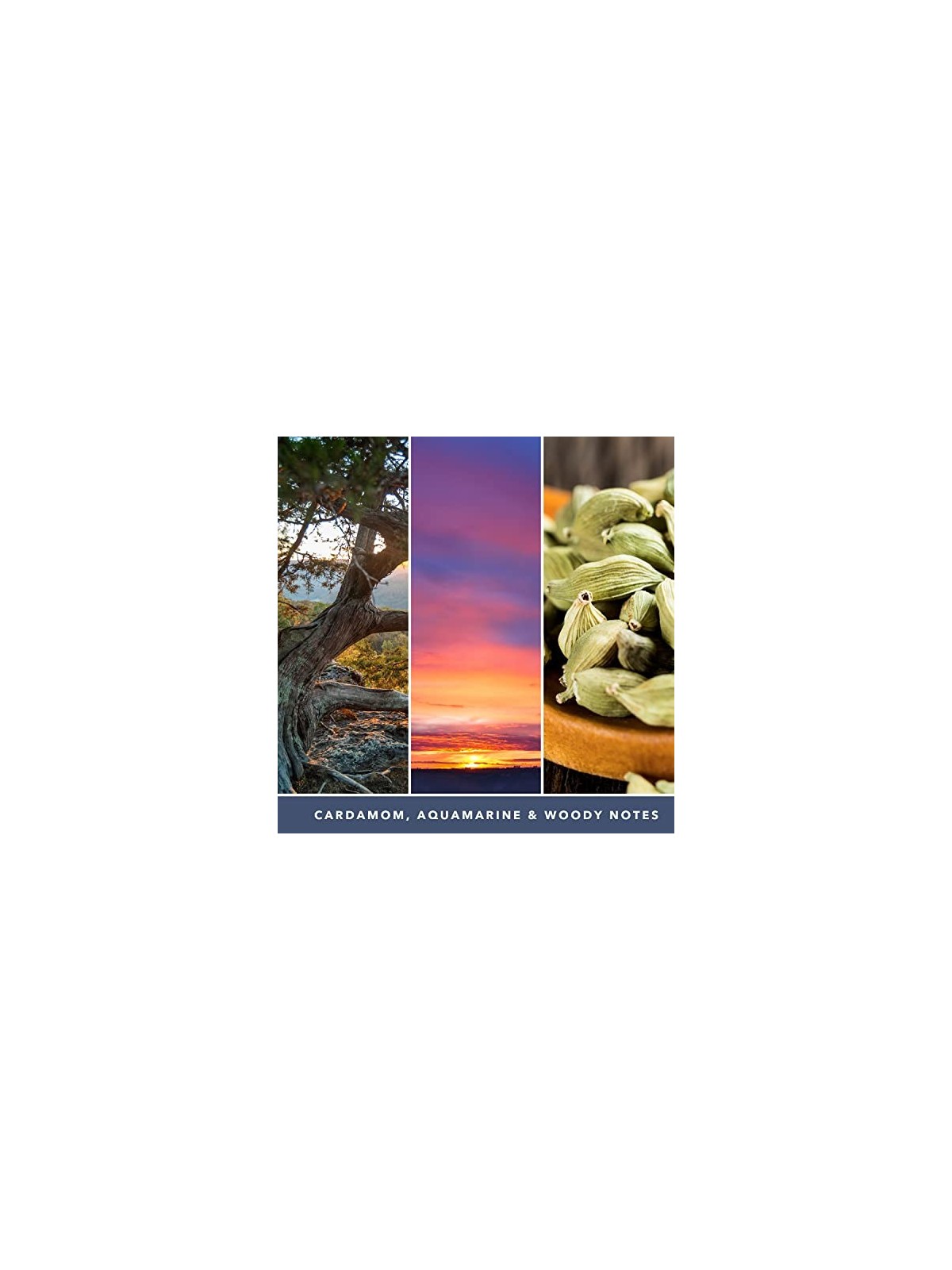 Yankee Candle Twilight Tunes Signature Candle al crepuscolo Candela profumata unisex 567 0g