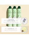 Rene Furterer NATURIA shampoo secco 200ml unisex