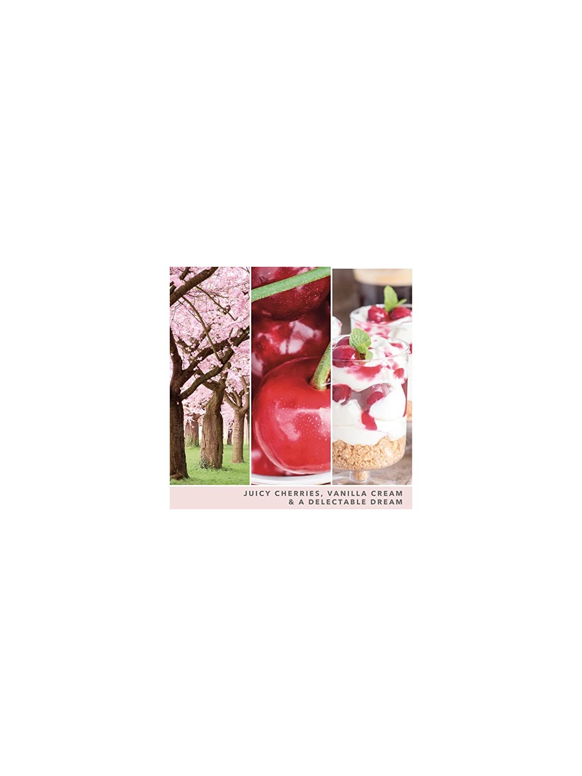 Yankee Candle Rosa Ciliegia Vaniglia Signature Candela Profumata