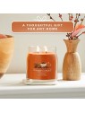 Yankee Candle Candela aromatica Signature in vetro, media, stecca di cannella, 368 g unisex Yankee Candle www.essenzetotalstyle.