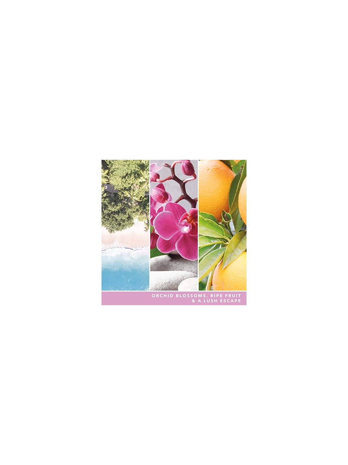 Yankee Candle Candela Tumbler Signature Orchidea Selvaggia