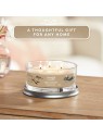 Yankee Candle Ambra  Sandalo Signature Tumbler Unisex 340g