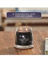 Yankee Candle Candela Signature Notte di Mezza Estate noc letnho slunovratu Candela profumata unisex 368 g
