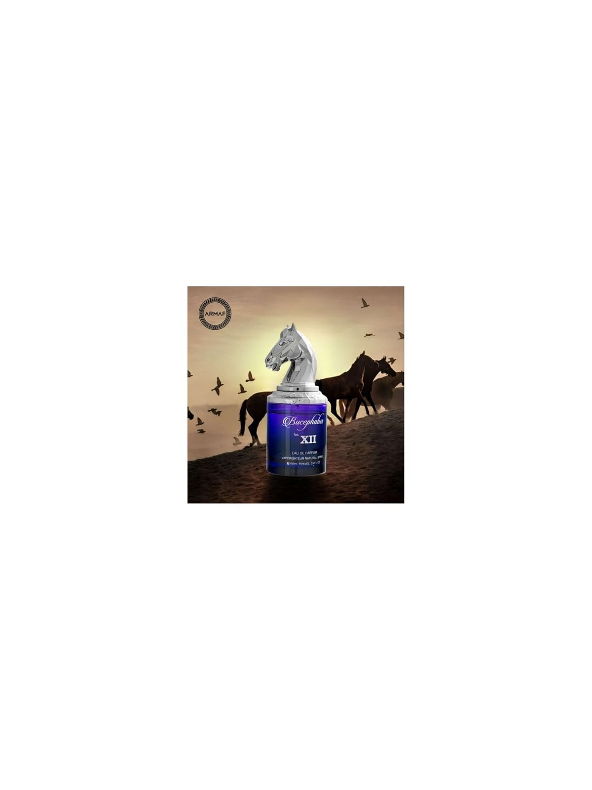 Armaf Bucefalo n XII eau de parfum uomo 100ml