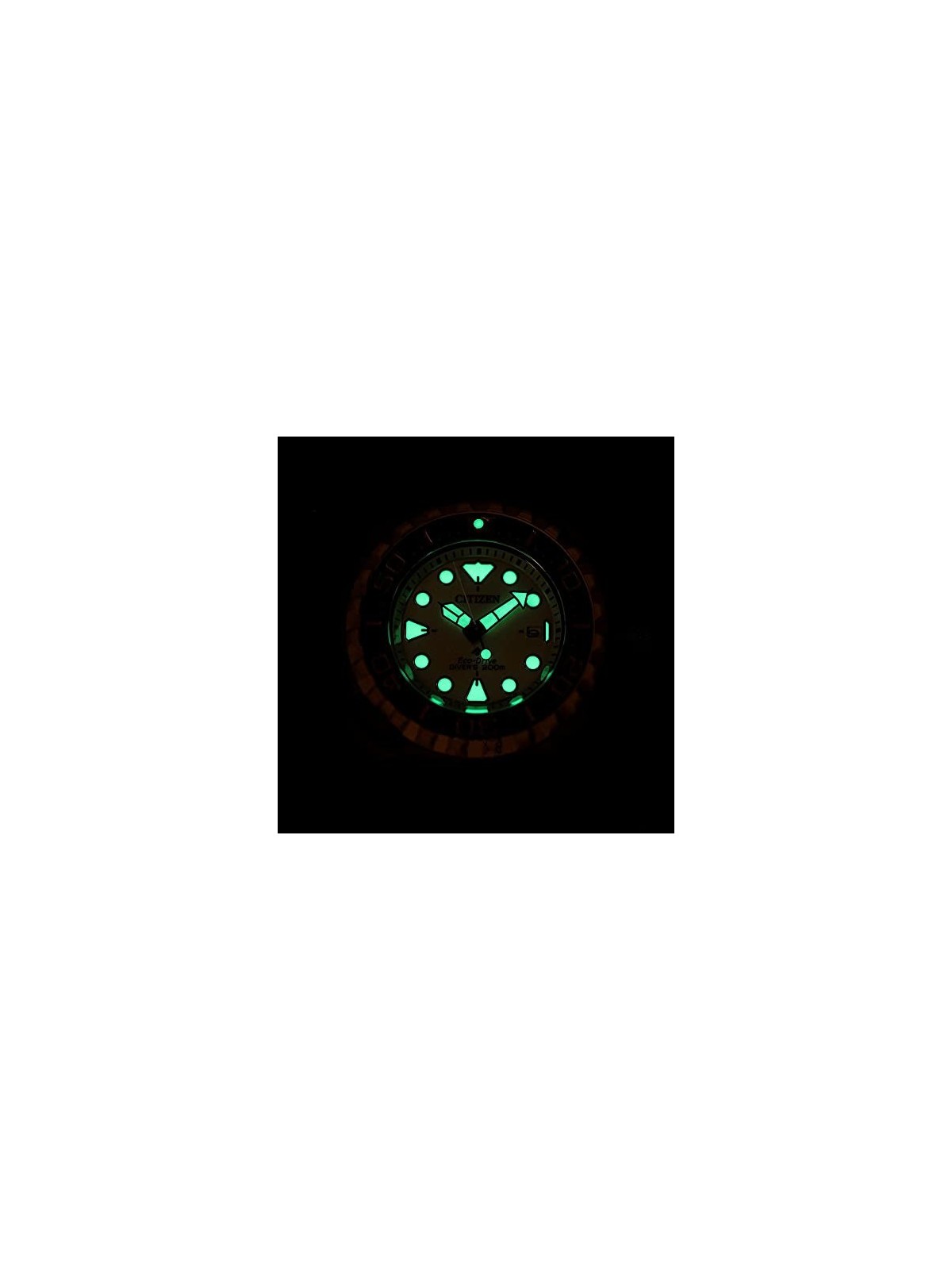 Citizen Promaster Marine BN0226-10P acquista 