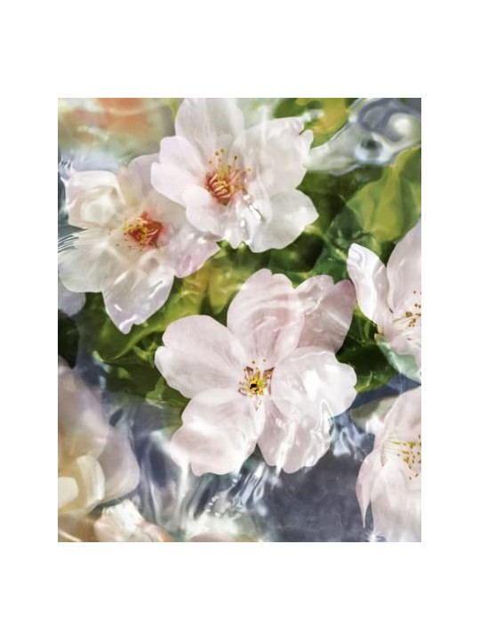 Profumo Guerlain Aqua Allegoria Flora Cherrysia EDT 125ml