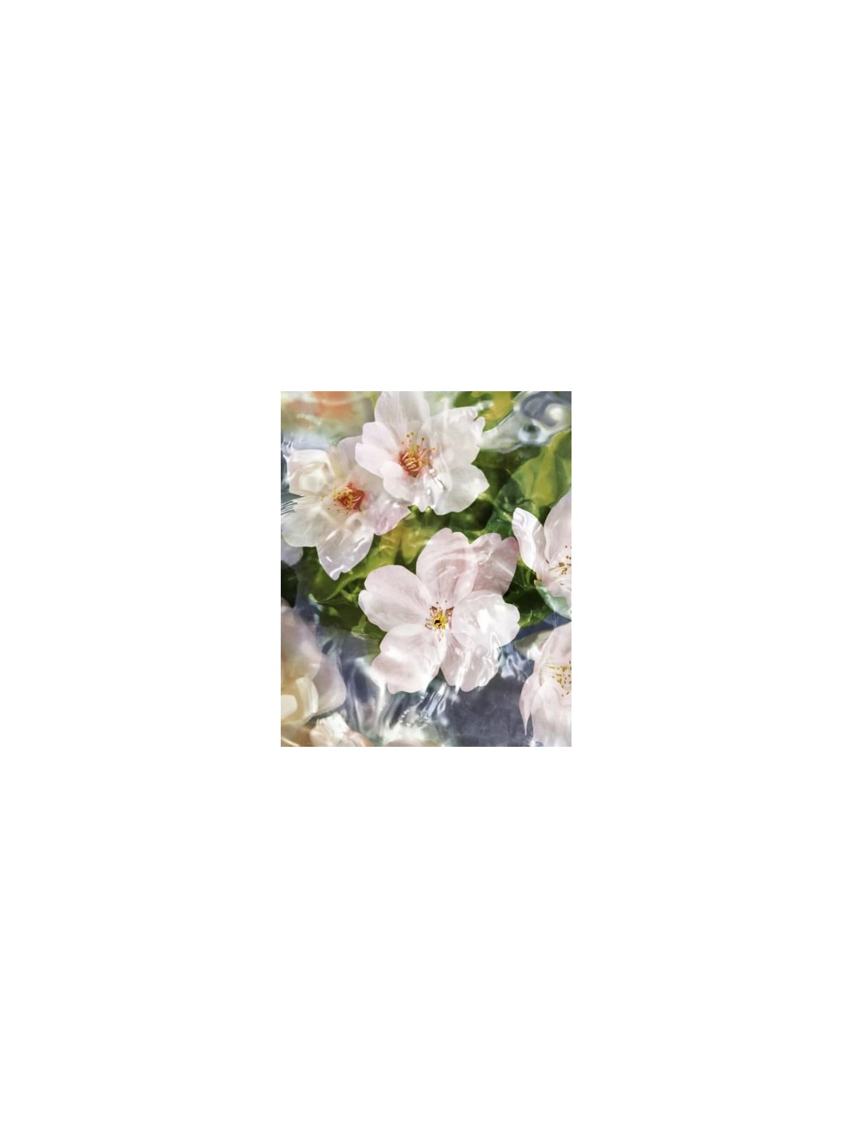 Profumo Guerlain Aqua Allegoria Flora Cherrysia EDT 125ml