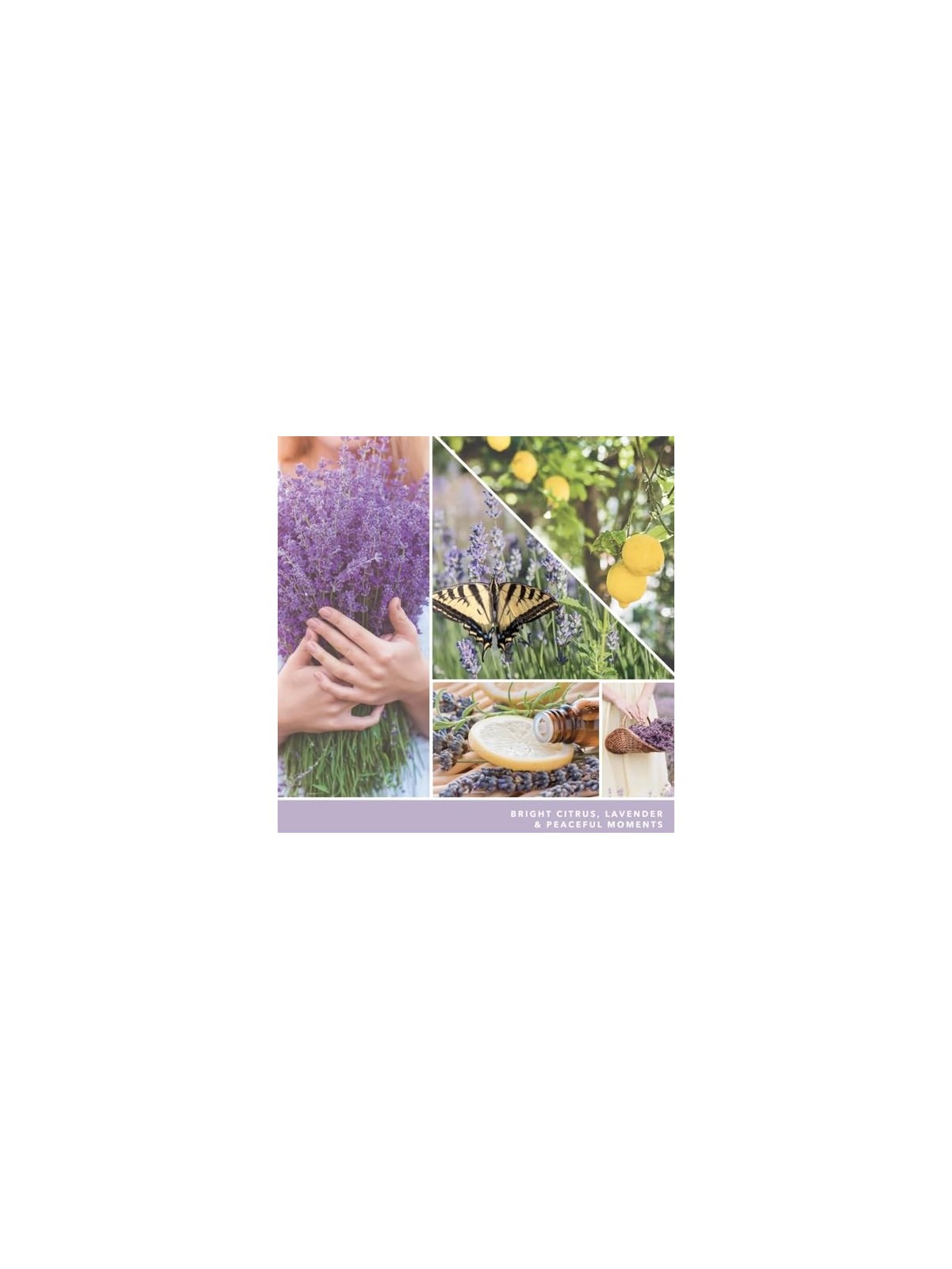 Yankee Candle Limone Lavanda Unisex 37g