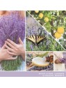 Yankee Candle Limone Lavanda Unisex 37g
