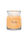 Yankee Candle Gelato al Mango Signature Candela Profumata unisex 368g