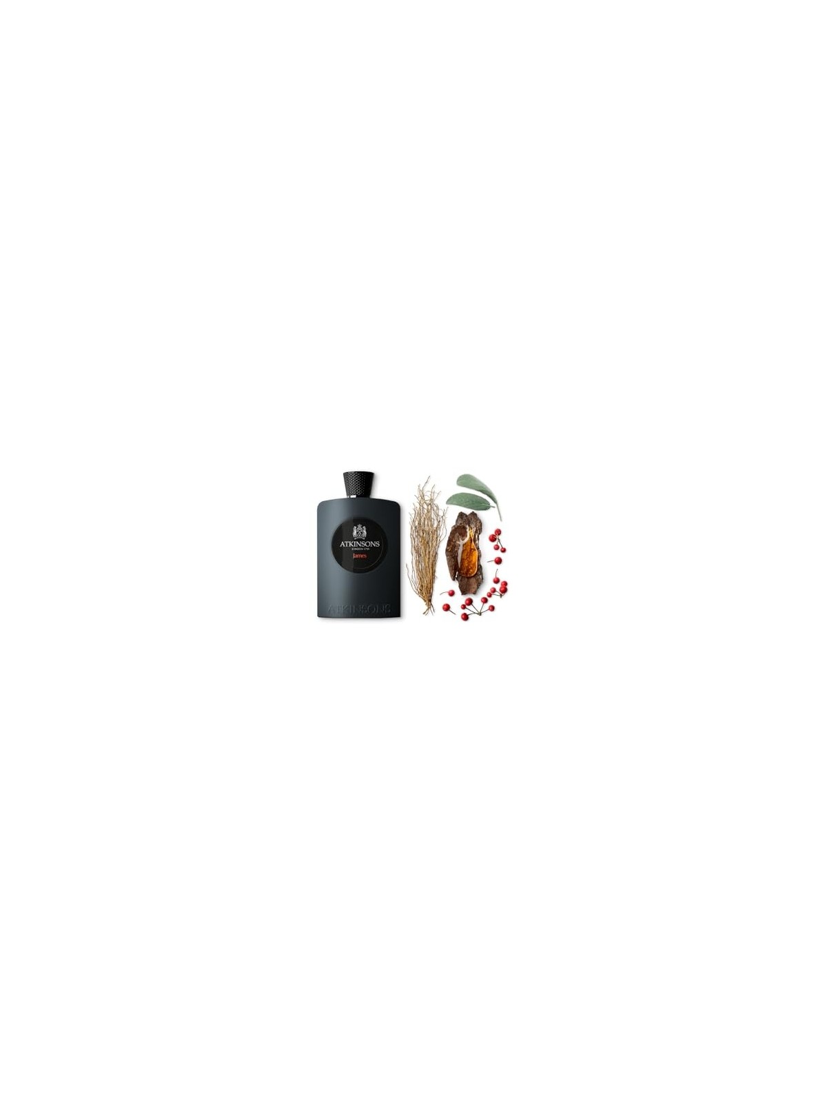 Atkinsons James Eau De Parfum 100 ml man