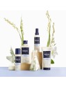 Phyto Softness Express Detangling Milk 150ml All Hair Types
