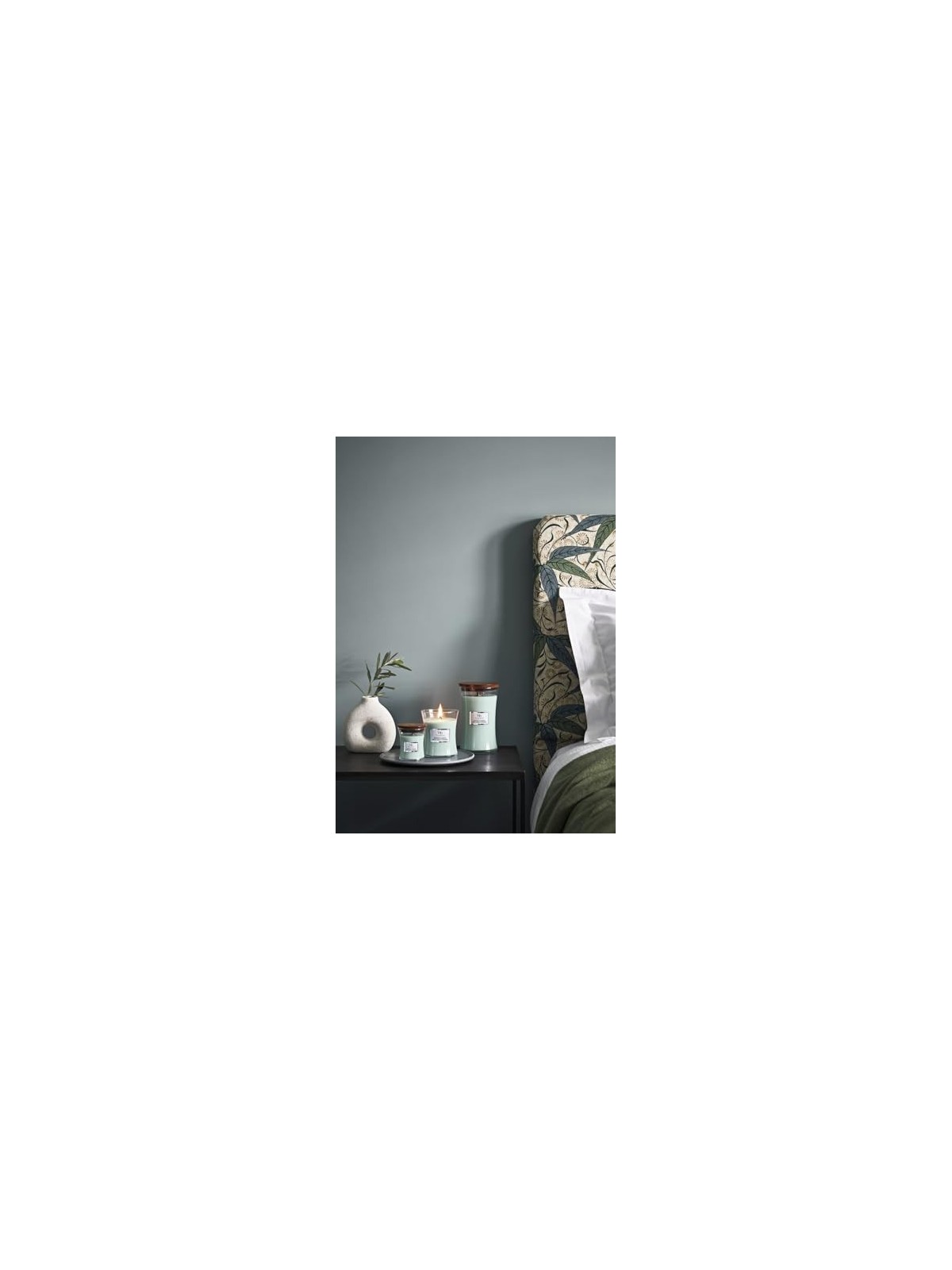 Candela legno di salvia e alghe 6090g