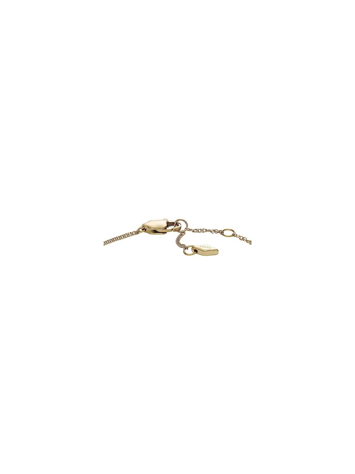 Fossil Radiant Wings JF04425710 acquista 