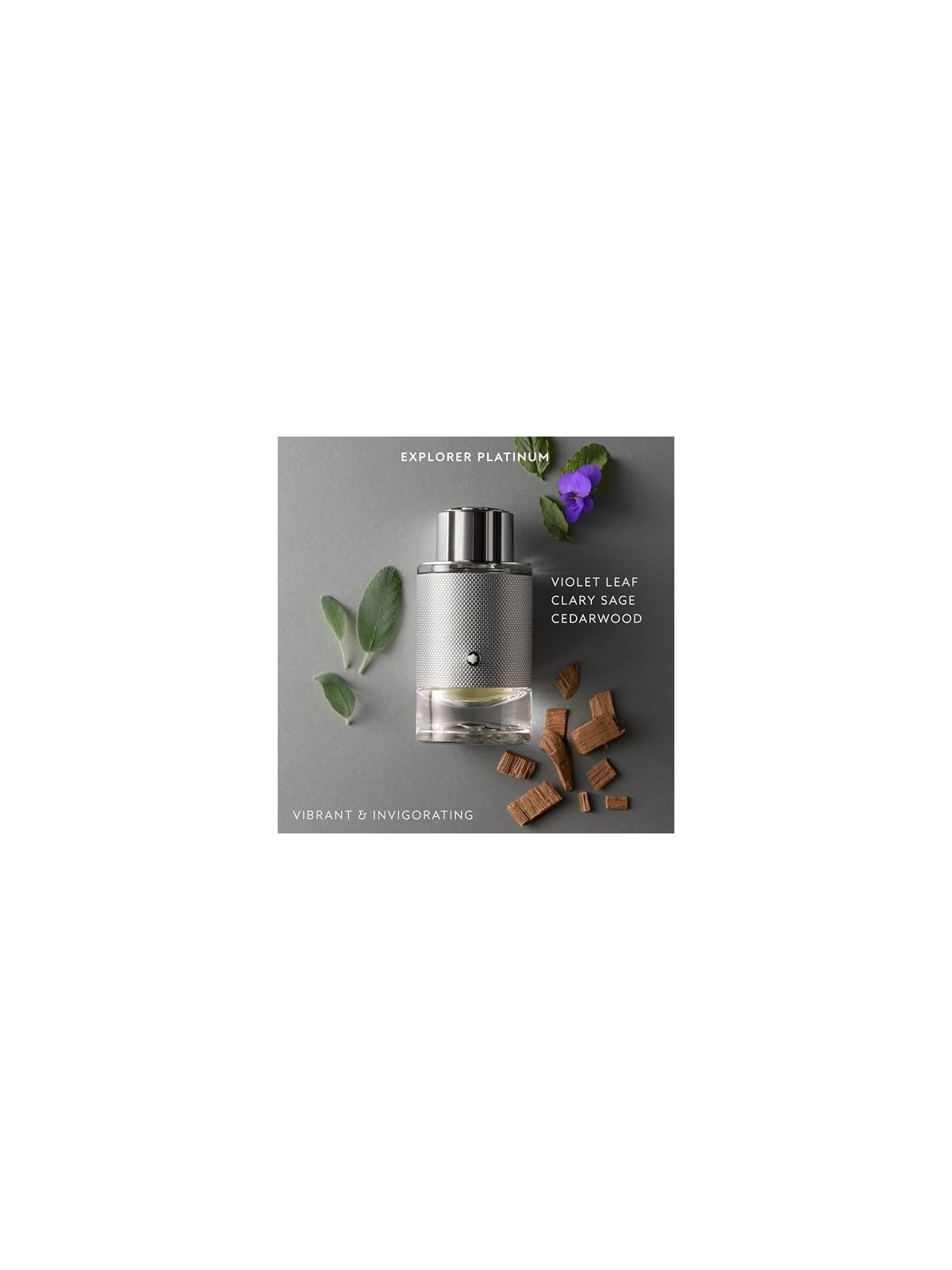 Montblanc Explorer Platinum Eau de Parfum 100ml