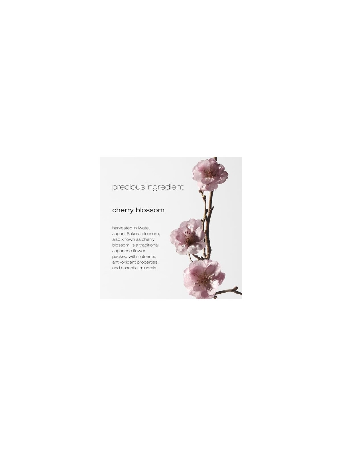 Shu Uemura SHAMPOO DELICATE CONFORT 40ml per donna