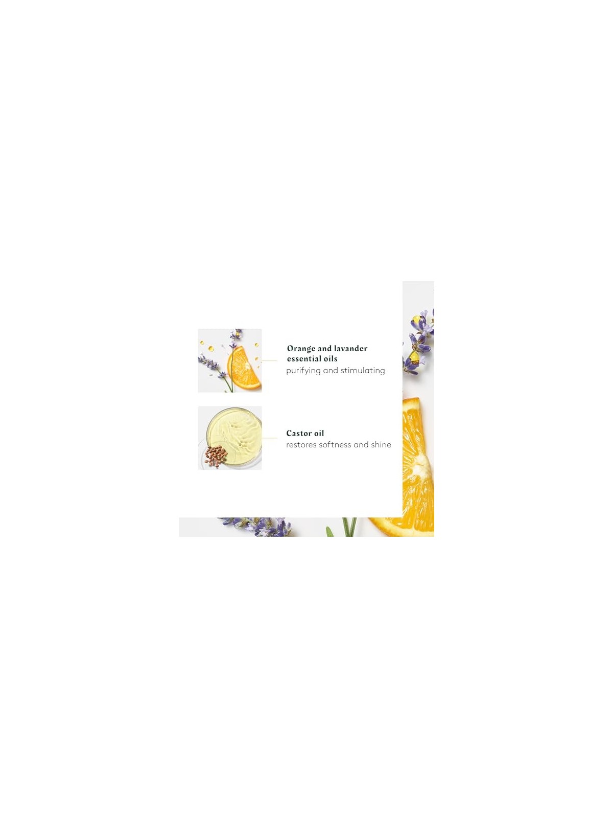 Rene Furterer HEAD SPA COMPLEXE5 concentrato stimolante 50ml unisex Rene Furterer www.essenzetotalstyle.com 