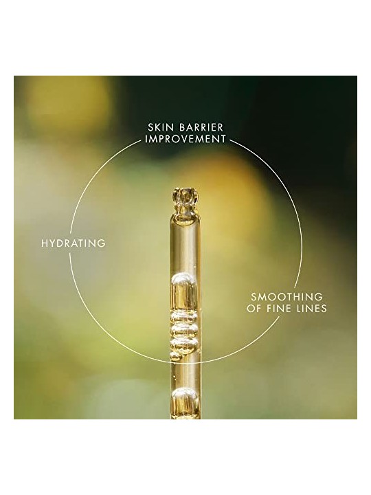 Eve Lom Renewal Treatment Oil 30ml