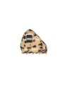 Invisibobble EVERCLAW Leo Love donna