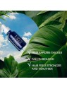 Talika SERUM FORZA CAPELLI 50ml donna