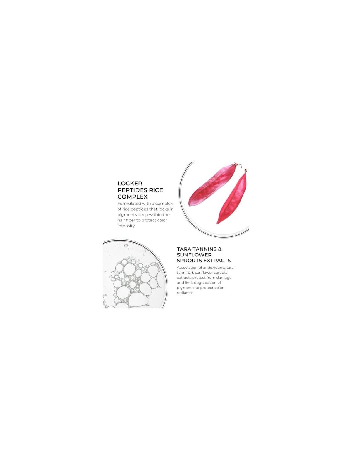 Maschera estensione colore Phyto COULEUR 200ml donna