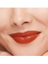 Rossetto Shiseido TECHNOSATIN 414 Upload
