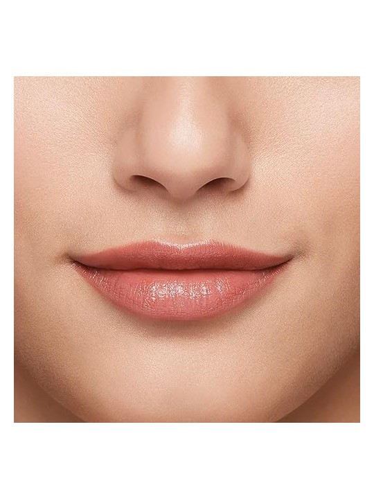 Rossetto in gel Shiseido TECHNOSATIN 404
