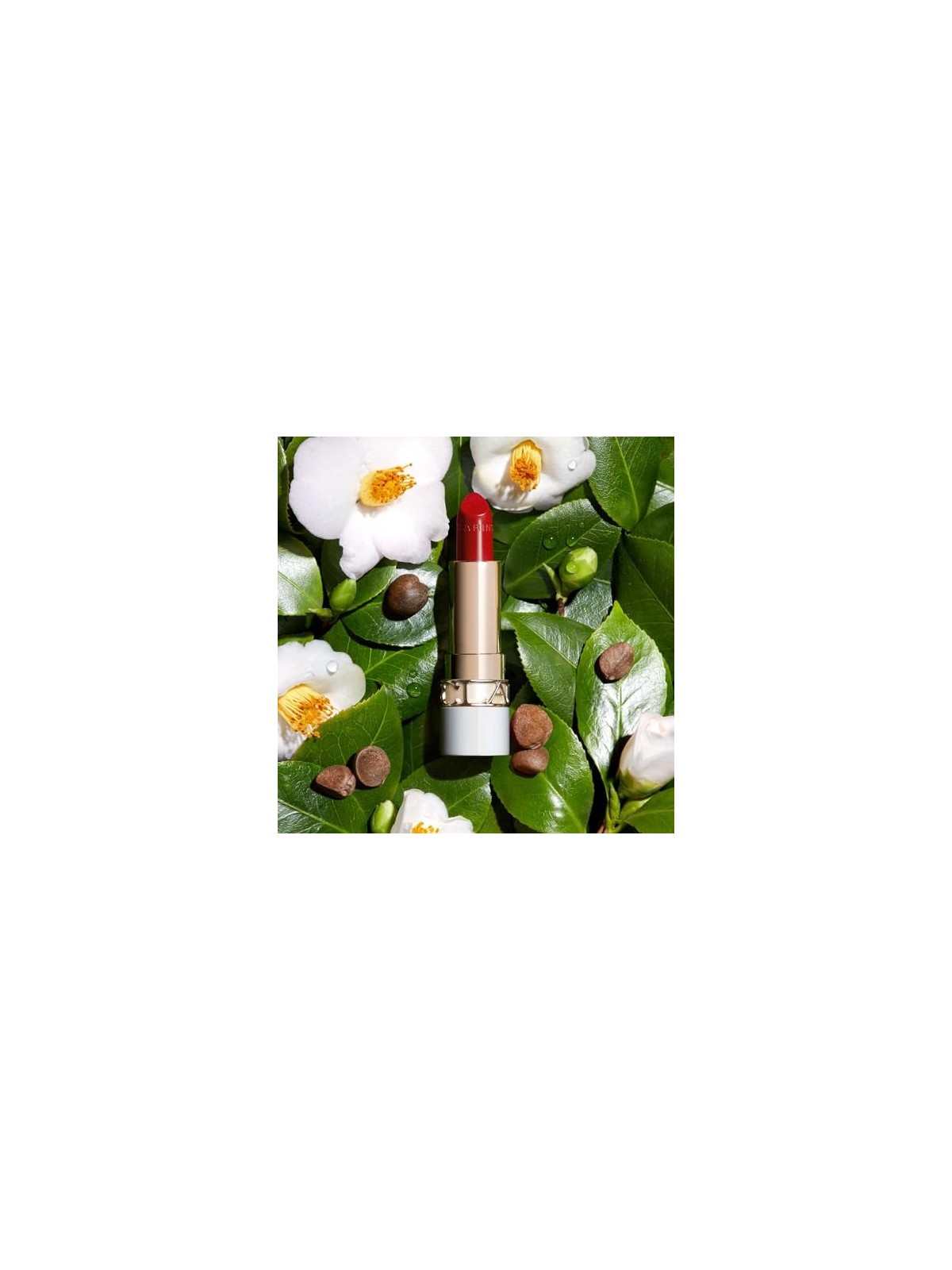 Clarins joli rouge brillantezza delle labbra n742s 1un donna