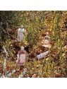 Gel doccia L'Occitane En Provence 250ml con lavanda