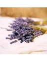 Gel doccia L'Occitane En Provence 250ml con lavanda
