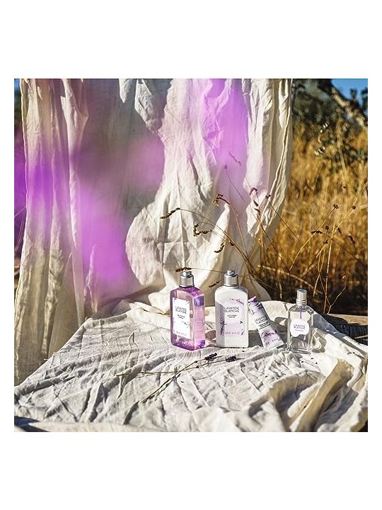 Gel doccia L'Occitane En Provence 250ml con lavanda