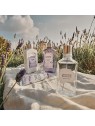 Gel doccia L'Occitane En Provence 250ml con lavanda