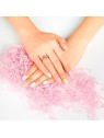 Nooves GEL NAILS ponte premium lusso ponte