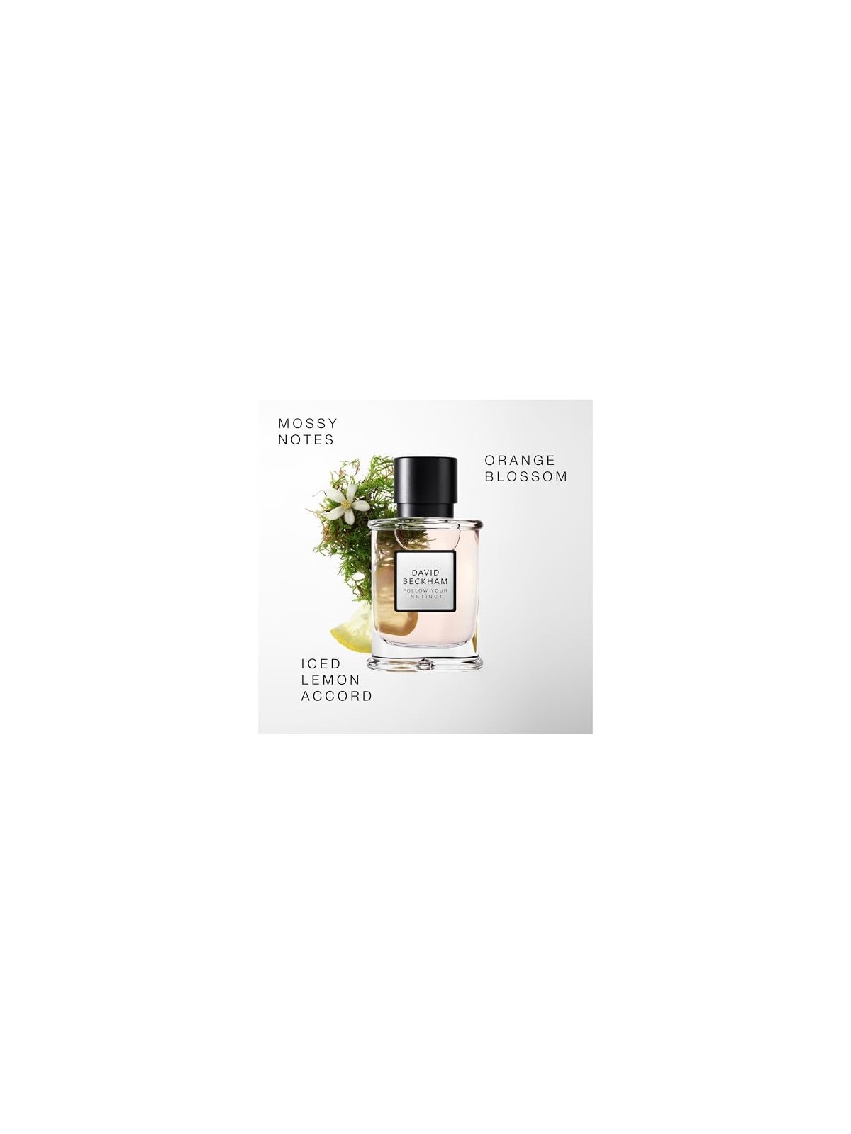 David Beckham Follow Your Instinct EDP spray 50ml