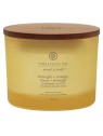 Candela Forza Energia a tre stoppini unisex 312g