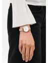 Daniel Wellington DW00100681 acquista 