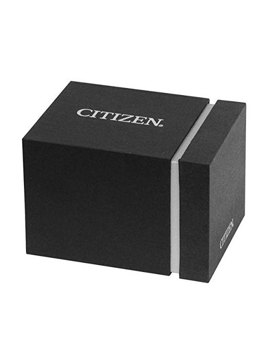 Citizen Eco-Drive FE1241-71Z acquista 