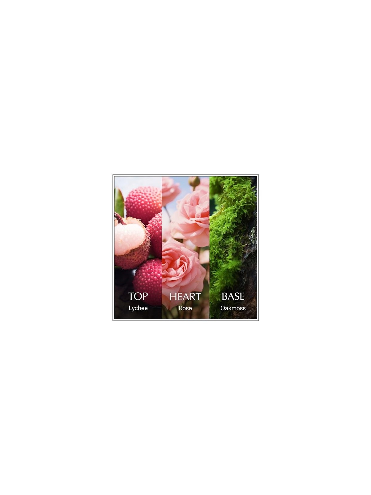 Chanson Rosa eau de toilette donna 100ml